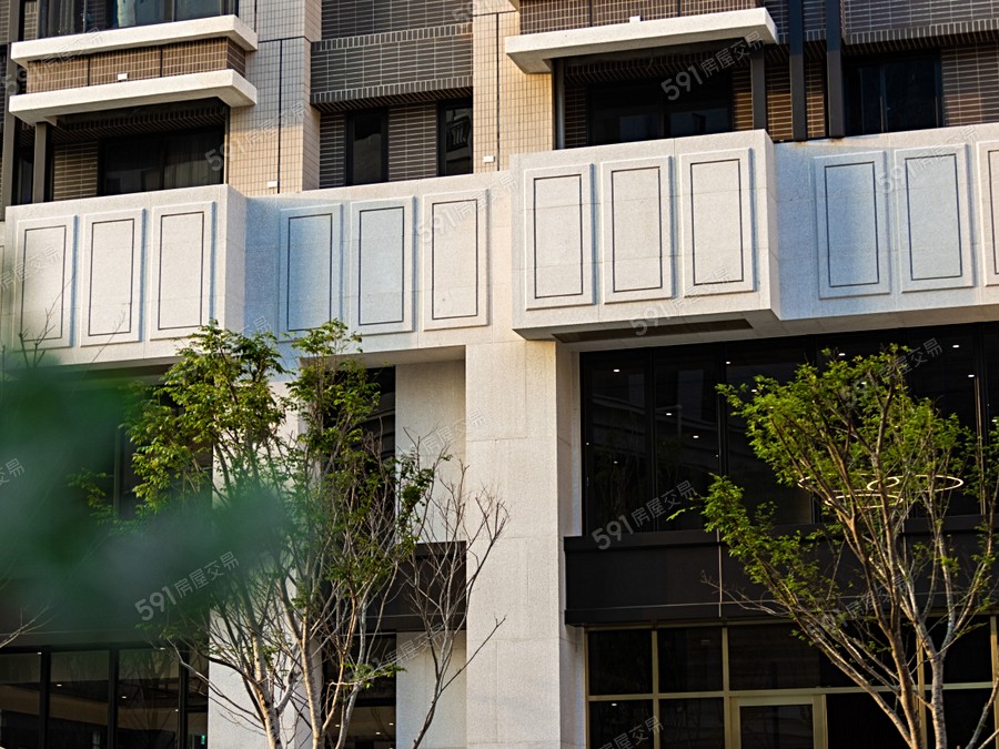 定泰翫寶龍實景圖