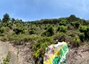 霧峰區-土地，3028.9坪