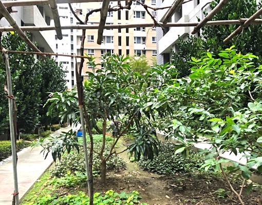出售~住宅用地