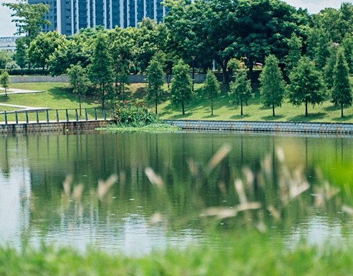 可租補(自租-免仲介費)無敵景觀大陽台-可養寵 - Image 3