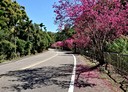 北屯區-民興巷土地，1129.6坪