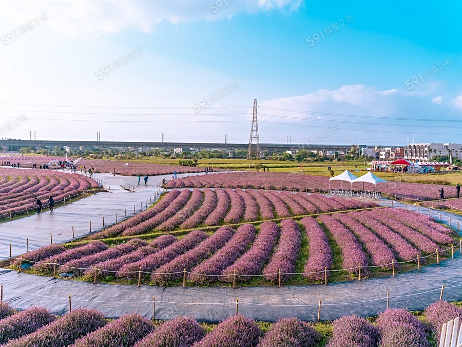 恬居-透天區環境圖