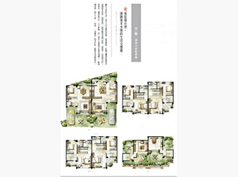 社區格局圖