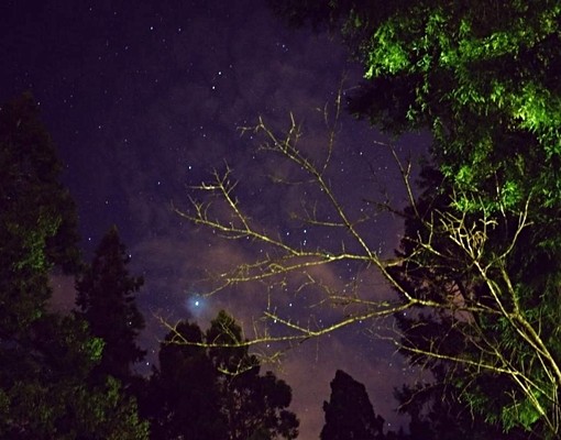 溪頭園區渡假居 - 591租屋網 - Image 11