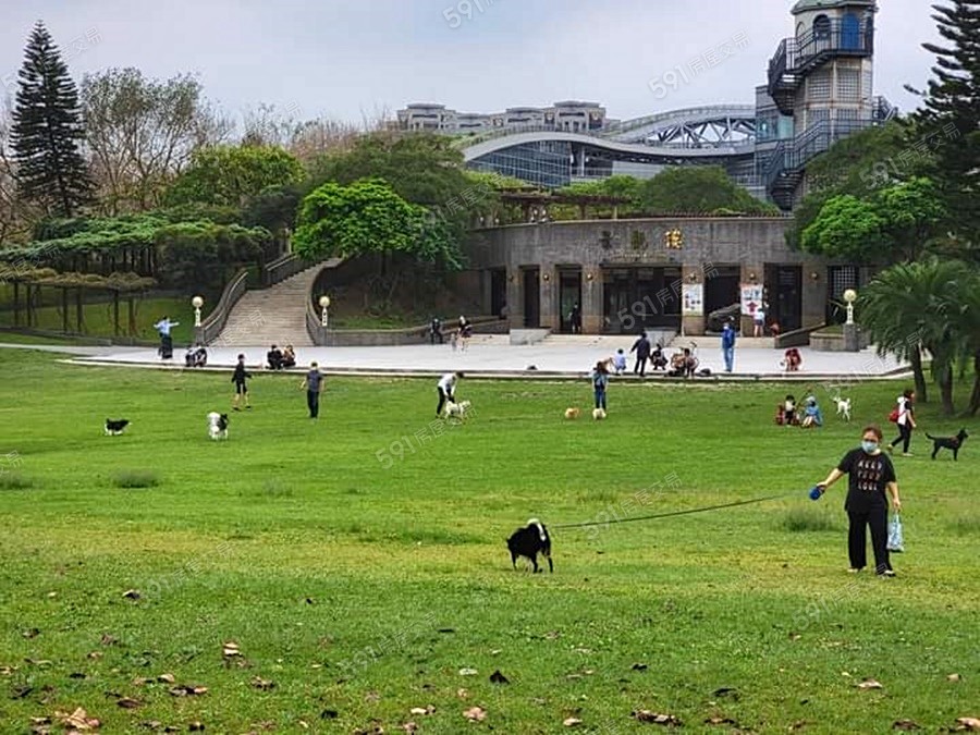 曾家鼎富環境圖