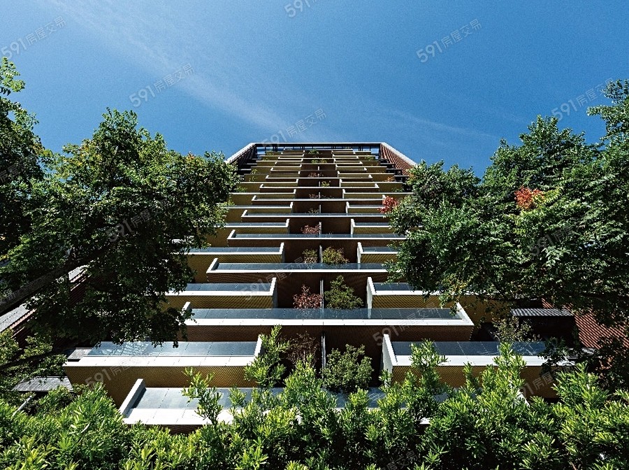 名發 天琚實景圖