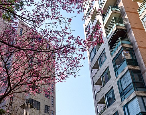 💗專營石門水庫中科院水鄉渡假大套房含車位家具全可租屋補助 - Image 3