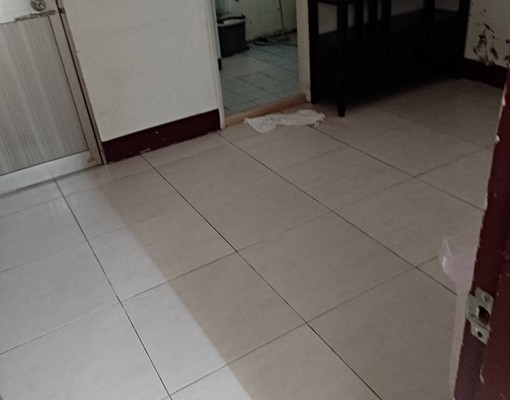 永康區二王廟附近平房住宅 - Image 4