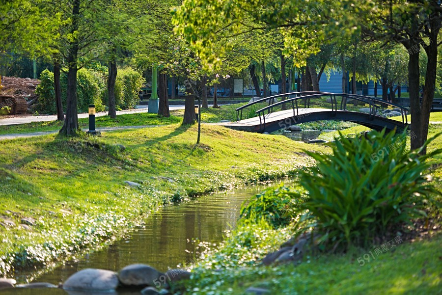 大城二月埕環境圖