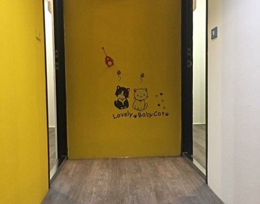 中原貓咪公寓分租套房有陽台可養貓家電家具 - Image 3