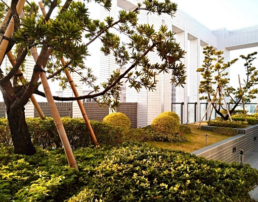 漂亮電梯美2房🌸採光通風好🌸衛浴有窗近捷運(可社宅租補) - Image 14