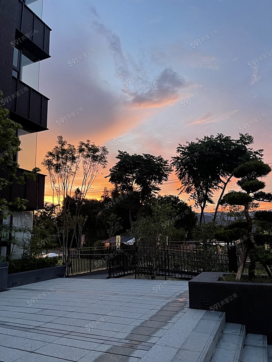 三星湯園實景圖