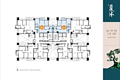 遠雄夏沐格局解析