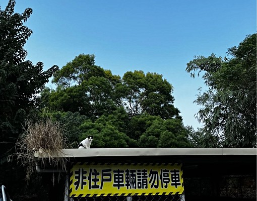 沙鹿中科、靜宜、弘光商圈電梯套房,可申請租補 - Image 13