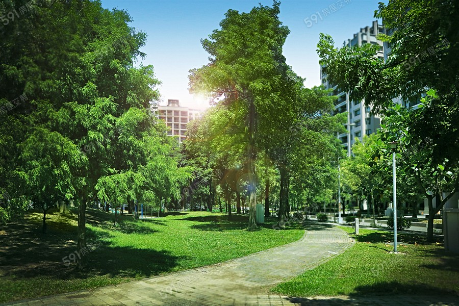 豐邑之森環境圖