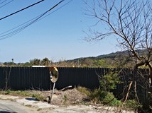 樟樹村竹盛丙建~眺望雙峰山..