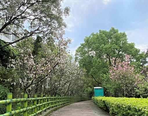 歡迎喜歡自由靈魂，打造空間詩意的朋友(十坪庭院) - Image 3