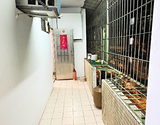 浮洲車站台藝大套房(通膨租金不漲) - Image 2