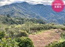 復興區-北部橫貫公路土地，756.2坪