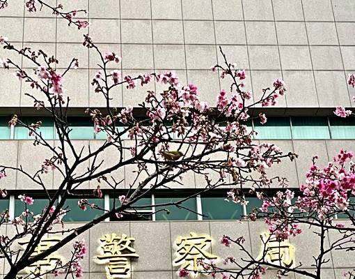 市府捷運松菸文創極安靜套房 - Image 9
