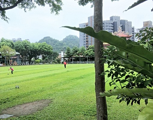 獨立花園套房 - Image 15