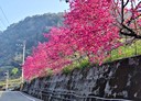 彰化市-中山路三段土地，704坪