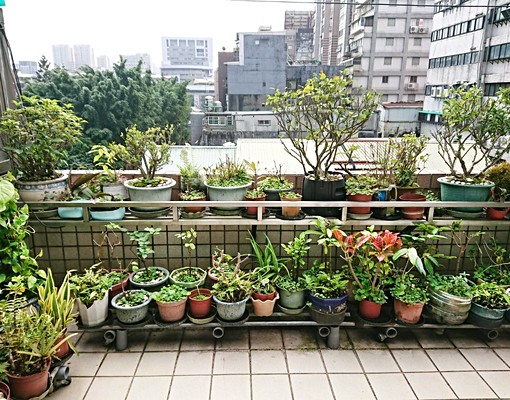 松江路雅房•頂樓花園只住2戶•限女包水電 - Image 14