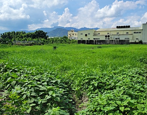 超平坦農牧用地/近三峽佳園路/產權清楚