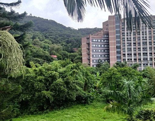 東吳大學故宮典藏社區別墅套房 - Image 1