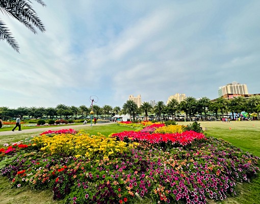 農十六*R13捷運宅*3改2房*附家俱電 - Image 13