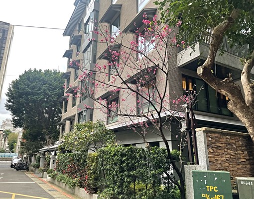 安靜單純讀書的好地方,近北商及台大醫 - Image 5