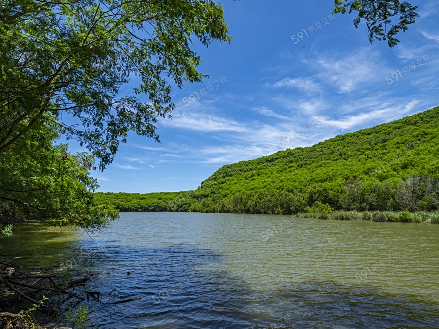 棋琴26重奏環境圖