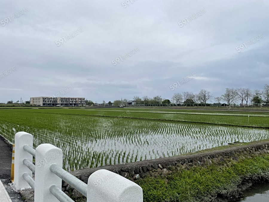 征泰大吉 NO.5環境圖