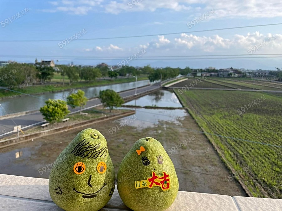 征泰大吉 NO.5環境圖