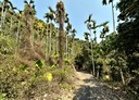中寮鄉-中寮村土地，8713坪