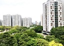 林口區-麗園一街3房2廳，51坪