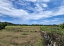 成功鎮-宜灣路土地，683坪