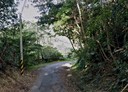 三峽區-土地，11325坪