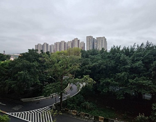 豪宅阿亮~遠陽加州樹景大4房平車 - Image 4