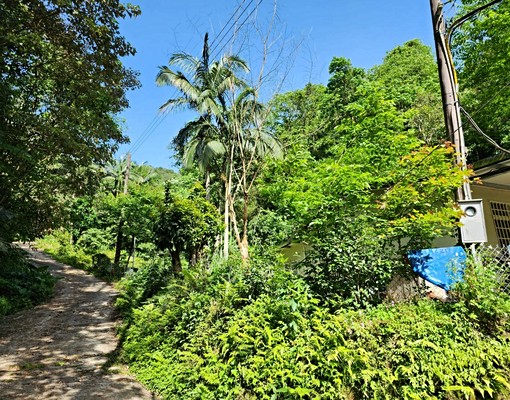 石碇山林秘境【台灣房屋!深坑好厝】