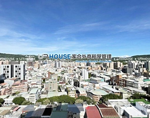 🌈MRT芝山🌈近SOGO品味設計質感裝潢 - Image 15
