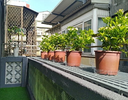 麟光站雅房可報稅可租補需公證 雅房 大安區-富陽街108巷 591租屋 月租9,300元/月