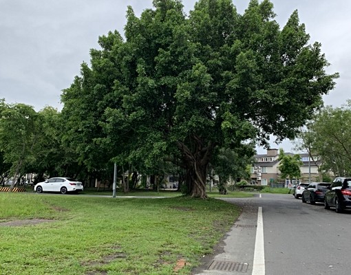 宜蘭縣政府附近陶然居會館 - Image 12