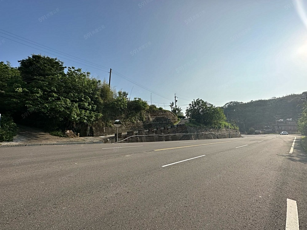 【宏庭專售】大湖臨路20米絕美草莓農地