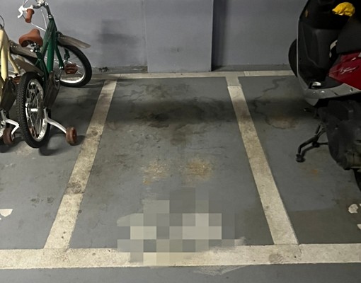 平鎮南平路二段2加1房含車含管（可租補） - Image 14