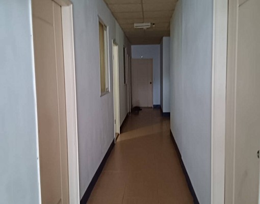 一樓不爬樓梯有電視有大庭院 - Image 3