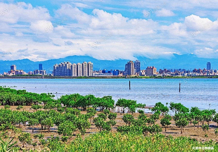 八里龍躍環境圖