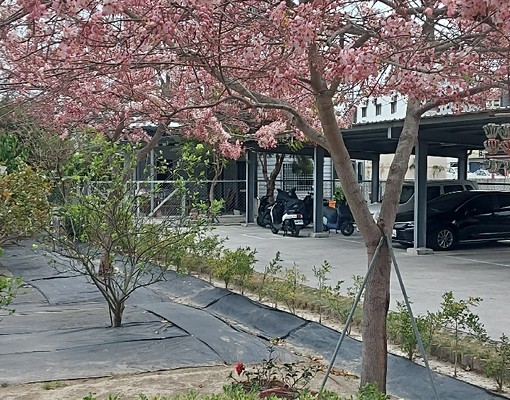 南科全新透天花園別墅.停車棚.個人洗衣機 - Image 3