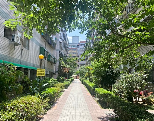 莊敬路寶慶路口~可寵~可補助 - Image 6