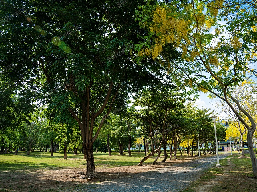 日日豐VISION88環境圖